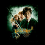 Tiro del grupo del Dobby de Harry Potter Ron Hermi posters