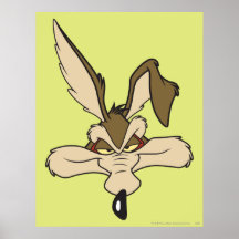 Tiro principal de E. Coyote Pleased del Wile Posters