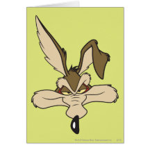 Tiro principal de E. Coyote Pleased del Wile Tarjetas