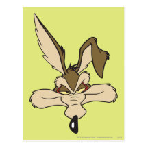 Tiro principal de E. Coyote Pleased del Wile Postales