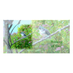 Titmouse copetudo: Pájaro de bebé nuevamente críad Tarjeta Fotografica Personalizada