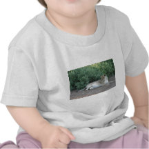 título camisetas