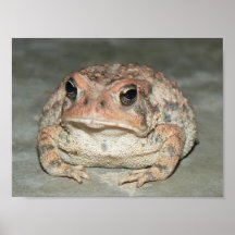 Toady Posters