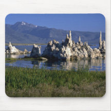 Toba volcánica del carbonato de calcio, mono lago, tapete de ratones