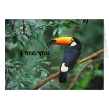 Toco Toucan, le veo Tarjetas