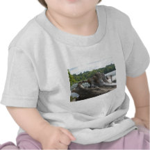 Tocón en James River Camiseta
