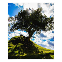 Toda la impresión del árbol de especia arte con fotos