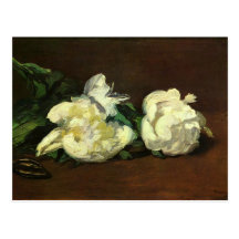 Todavía vida, peonies blancos - Eduardo Manet Tarjeta Postal