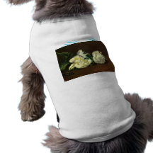 Todavía vida, Peony blanco de Eduardo Manet Prenda Mascota