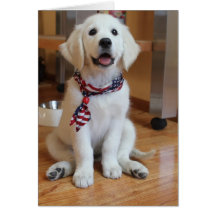 Todo el perrito americano, el patriota más lindo tarjeton