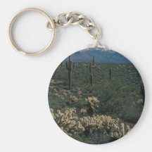 Todos en formas de un cactus llavero