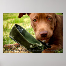 Todos soy gulty de…. poster
