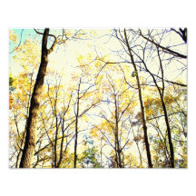 Toldo del otoño de E.A. Schneider Photo Fotos
