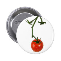 Tomate de la vid pin