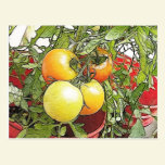 Tomates frescos de la herencia del jardín tarjetas postales
