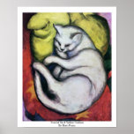 Tomcat en un amortiguador amarillo de Marc Francis Impresiones