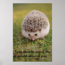 Tome el poster del tiempo