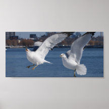 Tome el vuelo posters