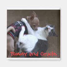 Tommy e imán de Gracie