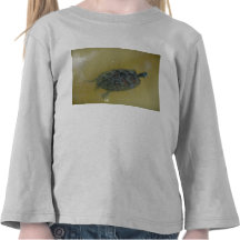 Tommy la tortuga camisetas