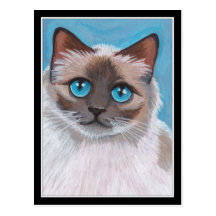 Topaz - postal del gato de Ragdoll del punto del s