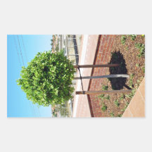 Topiary al aire libre en plantador del ladrillo etiqueta