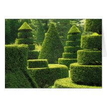Topiary verde - tarjeta de felicitación