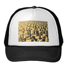 Topografía dura gorra
