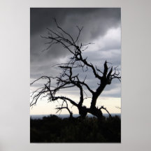Tormenta de Guadalupe Posters