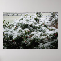 Tormenta de hielo del invierno Bush Posters
