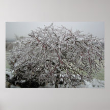 Tormenta de hielo del invierno impresiones
