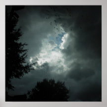 Tormenta del pájaro impresiones