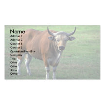 toro del Banteng-adulto Tarjetas De Negocios