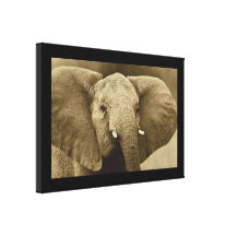 toro del elefante de África de los animales Lienzo Envuelto Para Galerías