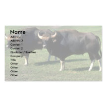 toros del Gaur-adulto Tarjetas De Visita