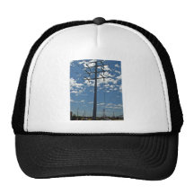 Torre de la alta tensión contra el cielo gorras de camionero
