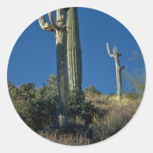 Torres muertas pegatina