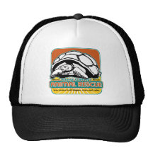Tortuga animal del rescate gorro