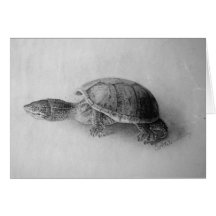 Tortuga blanco y negro tarjetas