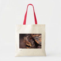 Tortuga Bolsa Lienzo