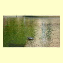 Tortuga caliente posters