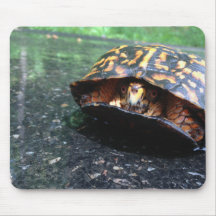 Tortuga de caja alfombrilla de ratón