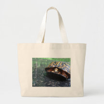 Tortuga de caja bolsa lienzo