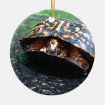 Tortuga de caja ornaments para arbol de navidad