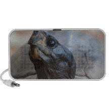 tortuga de Gopher Altavoces