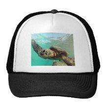 Tortuga de Hawai de la bahía de Hanauma Gorras De Camionero