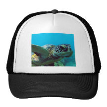 Tortuga de Hawai de la bahía de Hanauma Gorros Bordados