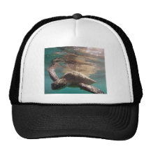 Tortuga de Hawai de la bahía de Hanauma Gorros Bordados
