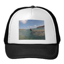 Tortuga de Hawai de la bahía de Hanauma Gorro De Camionero