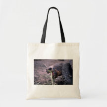 Tortuga de las Islas Galápagos, islas de las Islas Bolsa De Mano